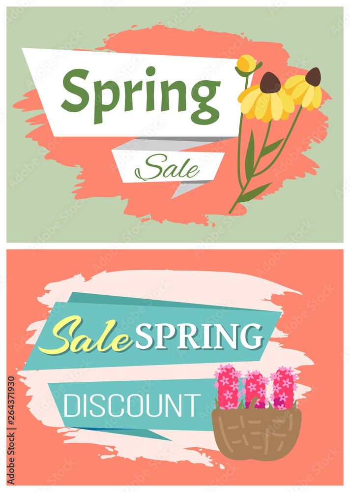 Sale, discount and best offer, label for springtime promotion and advertising, daisy bouquet. Advertisement decorated by flowers, greeting for ladies vector. Early spring and summer flower for wedding
