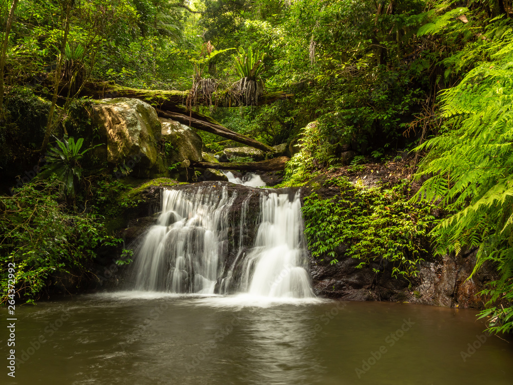 Rain Forest Waterfall