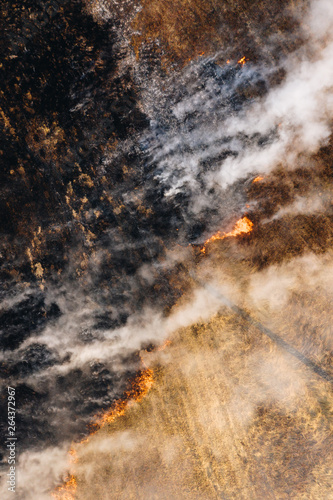 Aerial top view of field texture with burning dry grass, ash and smoke © Vitaliy Kaplin
