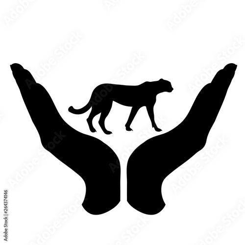 Vector silhouette of a hand in a defensive gesture protecting a cheetah. Symbol of animal, wild,africa, nature, humanity, care, protection, veterinary.