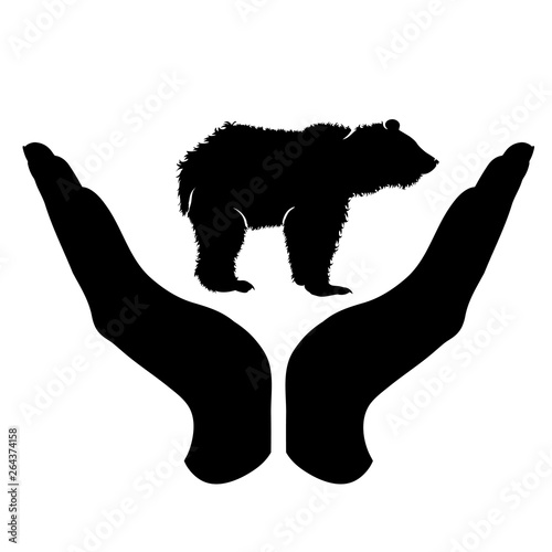 Vector silhouette of a hand in a defensive gesture protecting a bear. Symbol of animal, wild,grizzly,nature, humanity, care, protection.