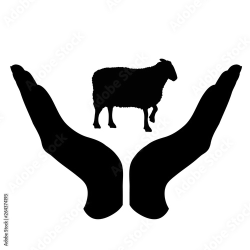 Vector silhouette of a hand in a defensive gesture protecting a sheep. Symbol of animal, farm, cattle, humanity, care, protection, veterinary.