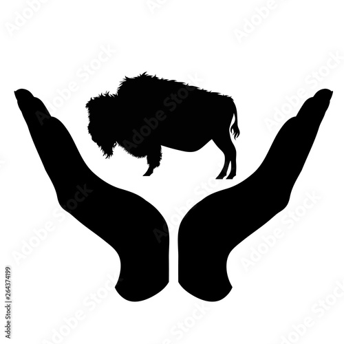 Vector silhouette of a hand in a defensive gesture protecting a buffalo. Symbol of animal, wild,nature, humanity, care, protection.