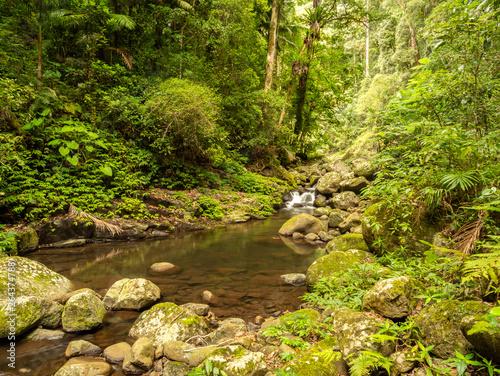 Rain Forest Waterfall