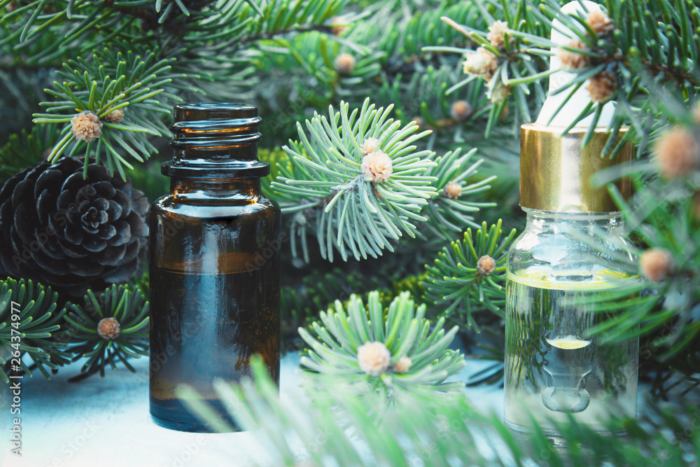 Essential coniferous oil in a dark bottle, a bottle of extract, pine branches. Essential coniferous oil in a dark bottle, a bottle of extract, pine branches.