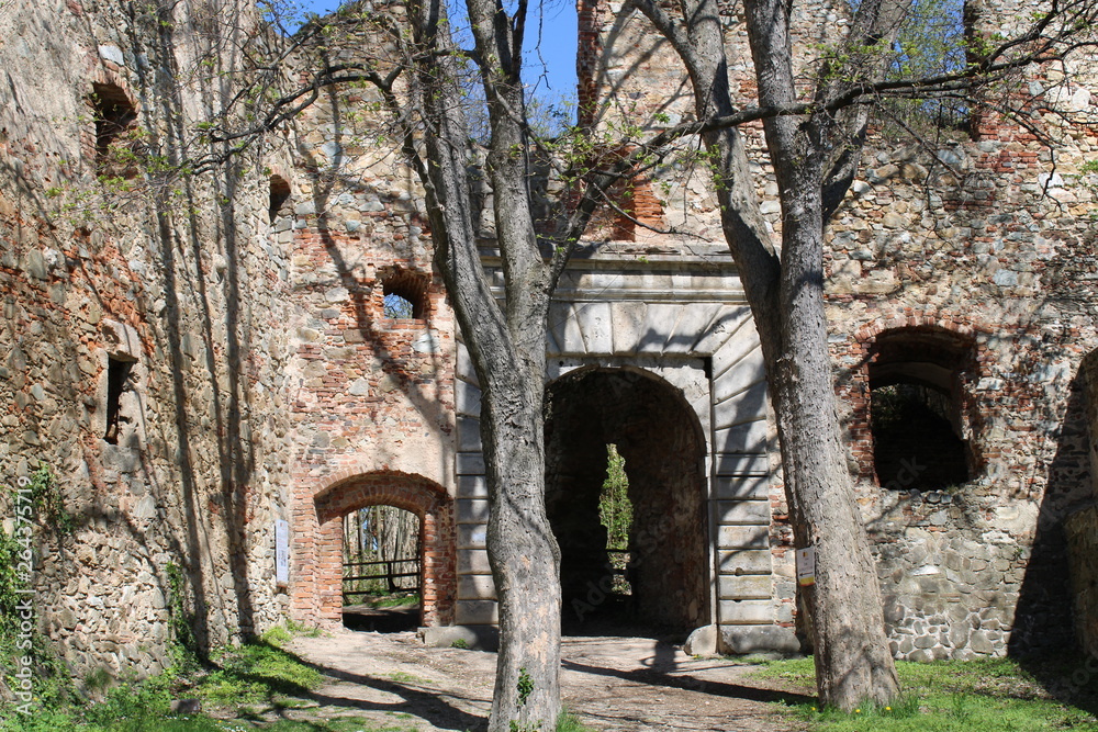 Internal entrance of Landsee Castle ruins