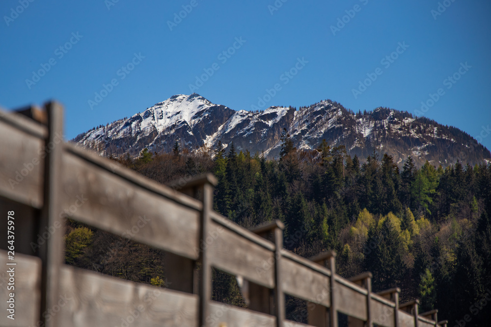 Fototapeta premium montan view Austria in the spring