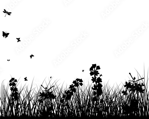 Summer Meadow Background © Konovalov Pavel