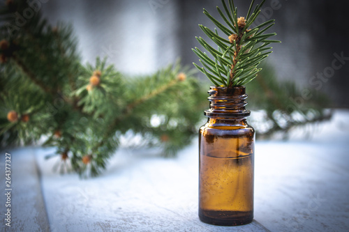 Essential coniferous oil in a dark bottle, a bottle of extract, a pine branch in a bottle.