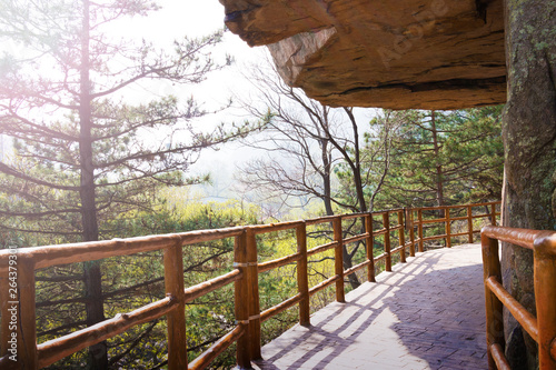 Morning scenic nature trail, stairway footpath in Laoshan, Qingdao, China. It is a popular attraction.