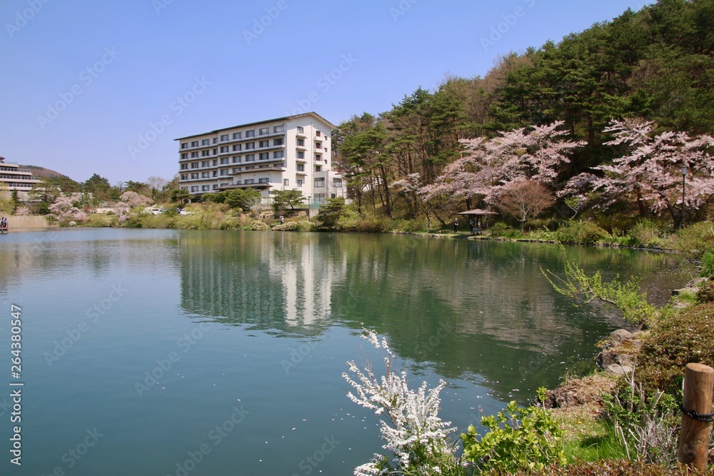鏡ヶ池公園・岳温泉の桜（福島県・二本松市）