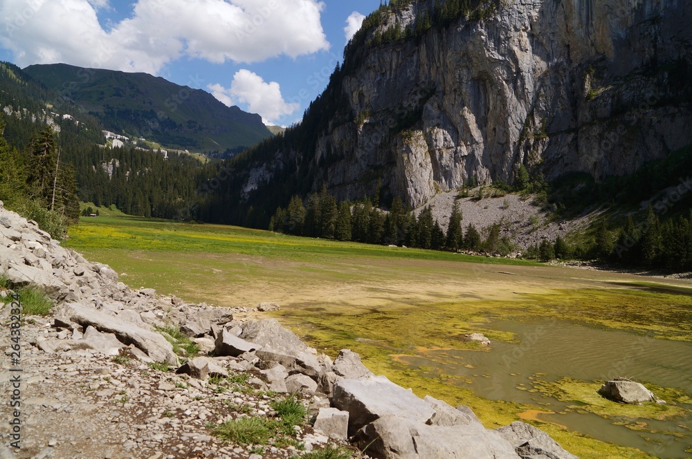 Obraz premium road in mountains