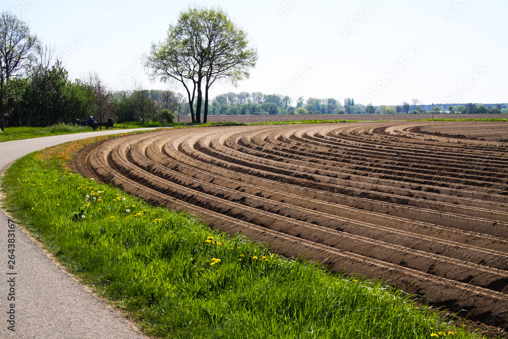 View on tilled plowed cropland with symmetrical curved furrows along cycling track in Netherlands near Roermond