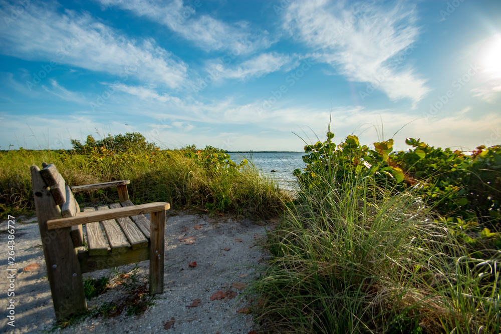 Beach Bench Alone Beach Bench Alone