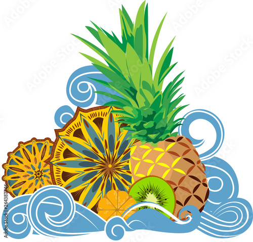 summer picture t-shirt fruit water