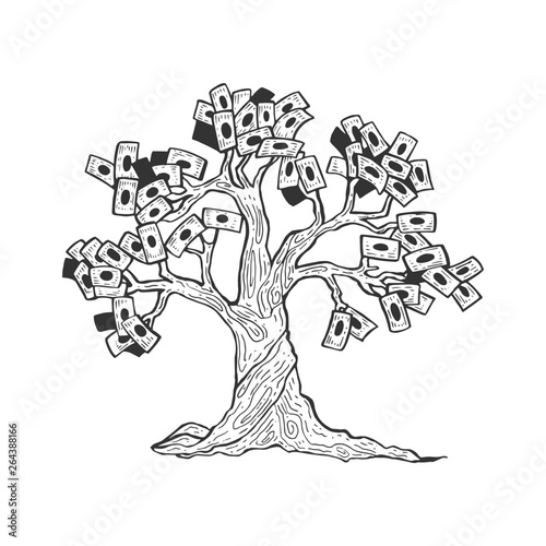 Money tree plant sketch engraving vector illustration. Scratch board style imitation. Black and white hand drawn image.