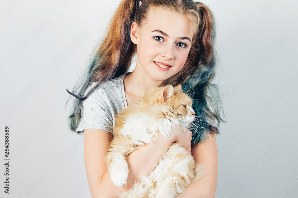 Beautiful teen girl holding in her hands Siberian cat on grey background. Beautiful teen girl holding in her hands Siberian cat on grey background.