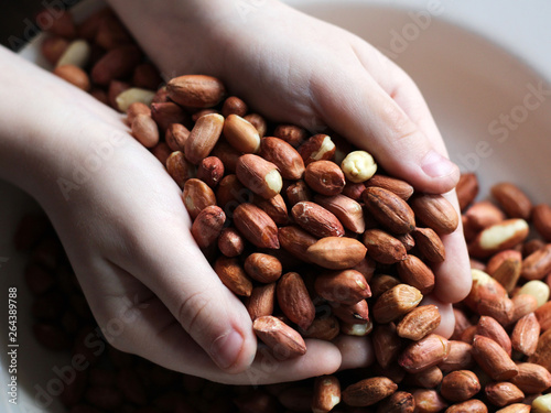 Ground peanuts in children's hands