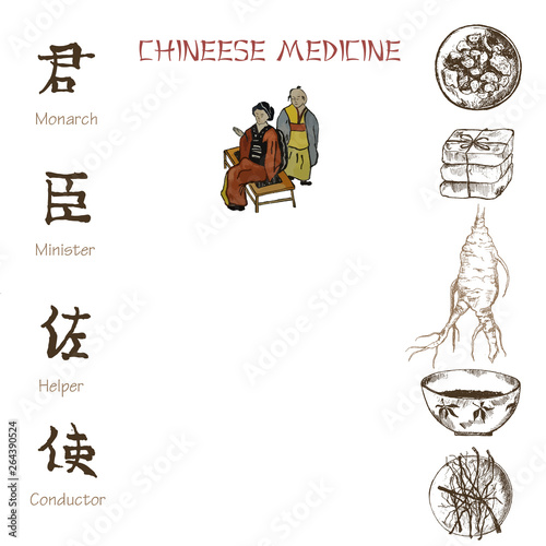Ginseng sketch on white background. Chinese medical plant nad herbs. Vector illustration for traditional easten pharmacy