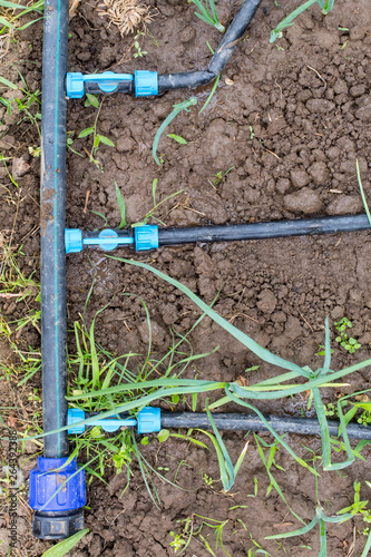 Drip Irrigation System © fotosr52