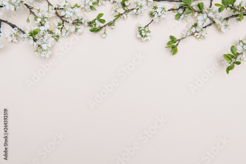 Spring nature background with lovely blossom in yellow pastel color, top view, banner. Springtime concept