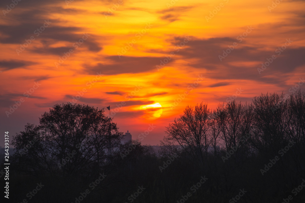 bright orange sunset over the forest bright orange sunset over the forest
