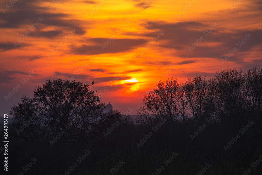 Fototapeta premium bright orange sunset over the forest