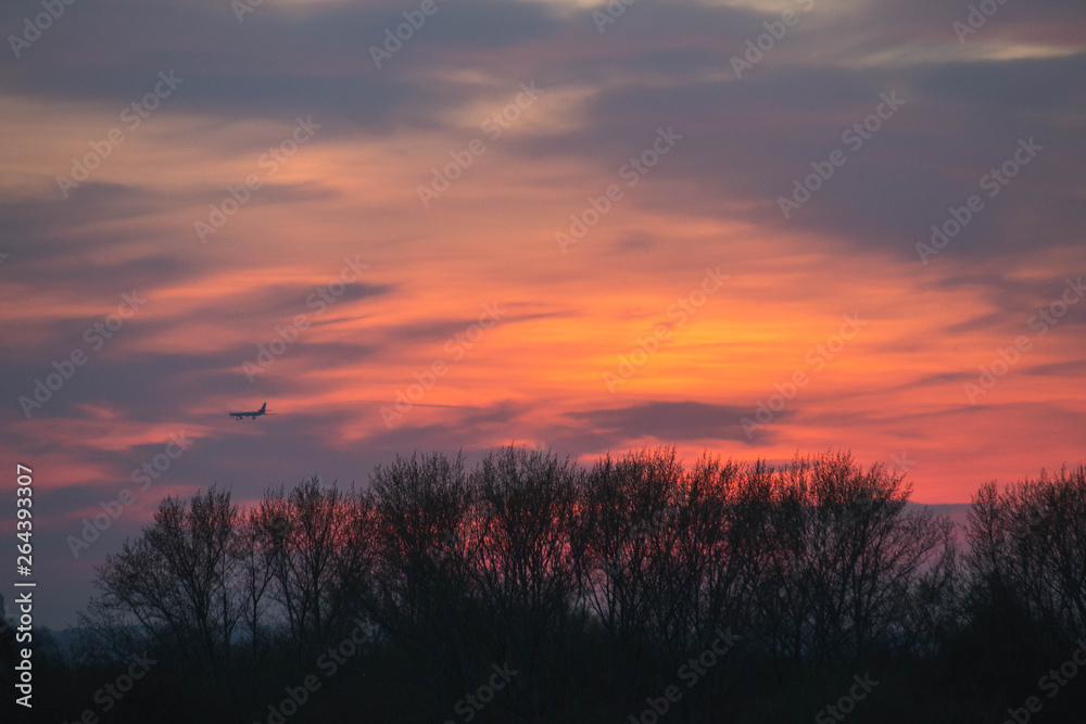 Fototapeta premium bright orange sunset over the forest