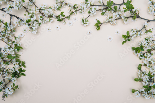 Spring nature background with lovely blossom in yellow pastel color, top view, banner. Springtime concept