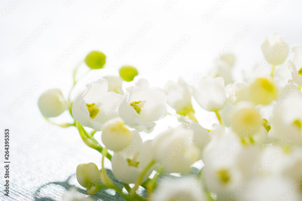Lily of the valley flowers on cracked blue wood table background