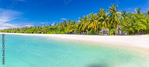 Beach panorama, view of tropical landscape and beach villas with palm trees. Exotic summer vacation and holiday destination template for beach banner