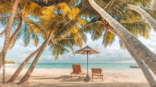 Fototapeta Naklejka Na Ścianę i Meble -  Wonderful beach scenery, palms and sun beds with sea view. Tropical beach landscape as summer vacation and holiday resort template