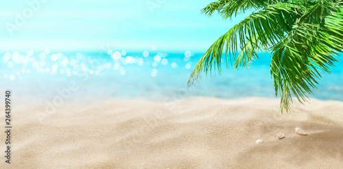 Coconut palm on the beach. Tropical sea.