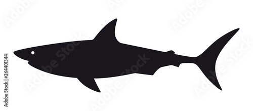 Vector shark silhouette. Isolated on white background.