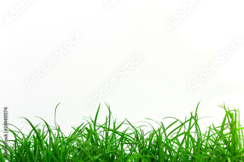 green grass isolated on white background © Surasak Chuaymoo