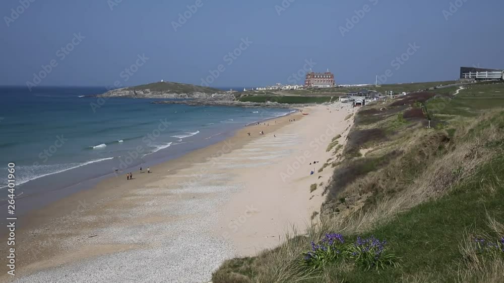 Newquay beach Cornwall with bluebells in foreground in beautiful sunshine best surfing beaches in England Newquay beach Cornwall with bluebells in foreground in beautiful sunshine best surfing beaches in England