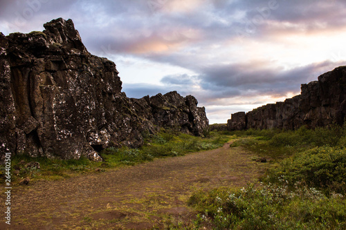 Thingvellir national park in evening  Iceland. The meeting and extension zone of the tectonic plates - North American and Eurasian. Pinkish evening sky in a park in Iceland  hiking trail.