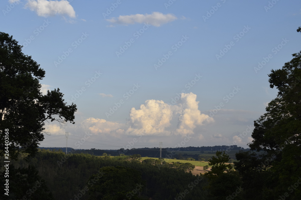 	 Horizonte rural plano com céu azul, nuvem cumulus e vegetação