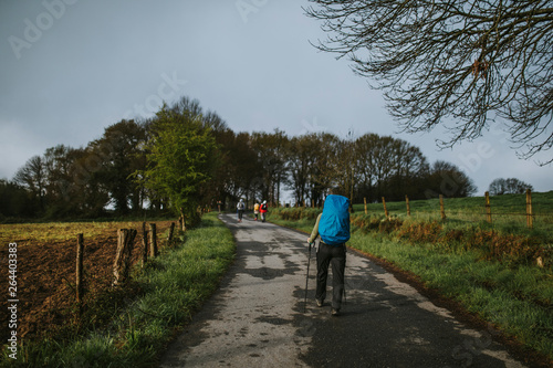 Pilgrim with blue backpack walking in the Camino de Santiago way on a narrow road with green landscape. © daviles