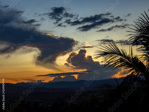 Silhouette of palm leaves at dusk over the plateau of the Andean mountains of central Colombia.