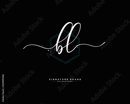B L BL initial logo handwriting  template vector