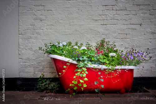 Bathtub Garden photo