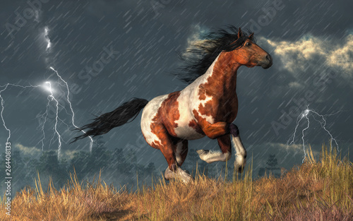Thunder booms and lightning cracks as a wild pinto coated mustang gallops up a grassy hillside.  Its black mane and tail trail behind as it dashes through the heavy rain. 3D Rendering