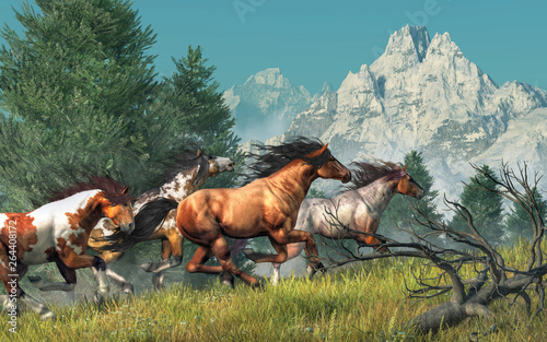 Four wild mustangs gallop by fir trees and up a grassy hillside in the Rocky Mountains, One is brown, but the others are all paint horses. Their manes blow in the wind as they race. 3D Rendering
