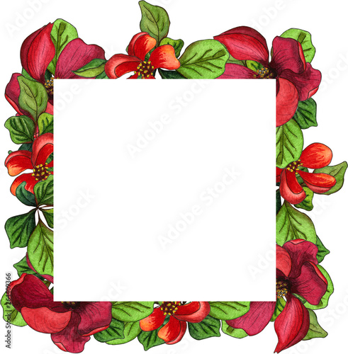 Border or frame made of red blooming Japanese Quince flowers and green leaves. Watercolor floral illustration.