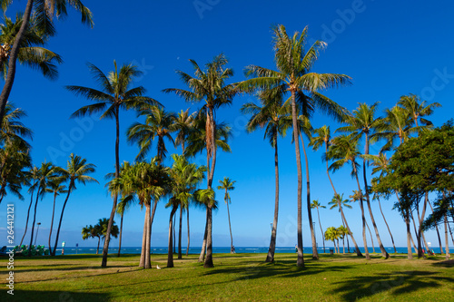 〈ハワイ〉ワイキキの風景