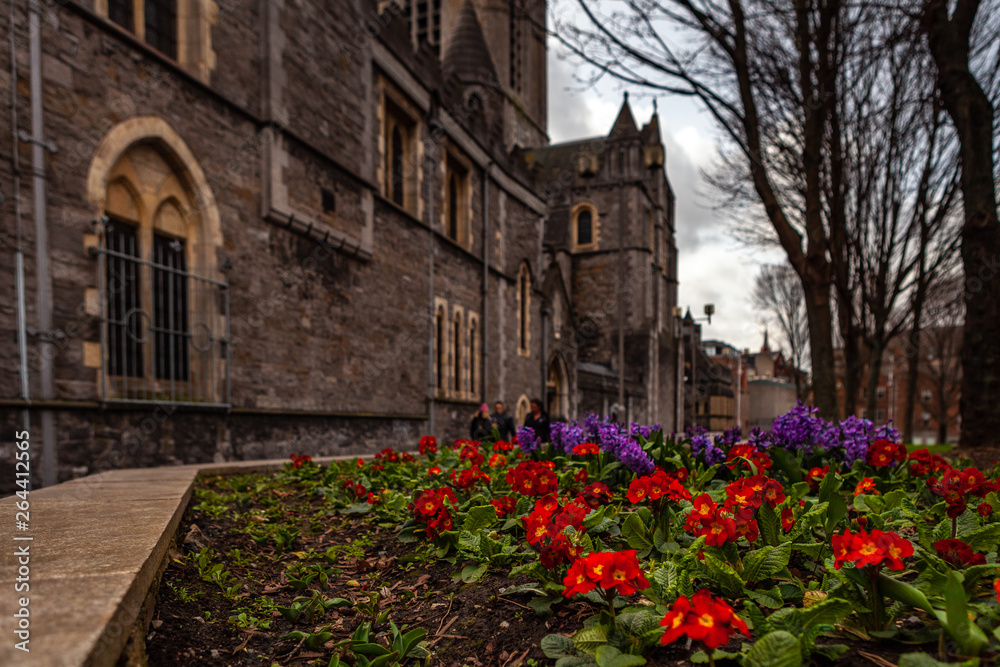 Dublin, Ireland – March 2019. Cathedral Church of the Holy Trinity,  Roman Catholic  Christ Church Cathedral in Dublin