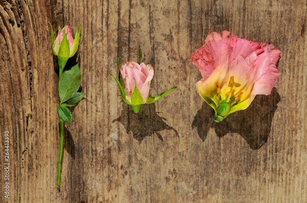 flowers on wooden background