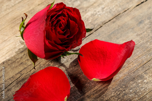 Fototapeta Naklejka Na Ścianę i Meble -  red rose on wooden background