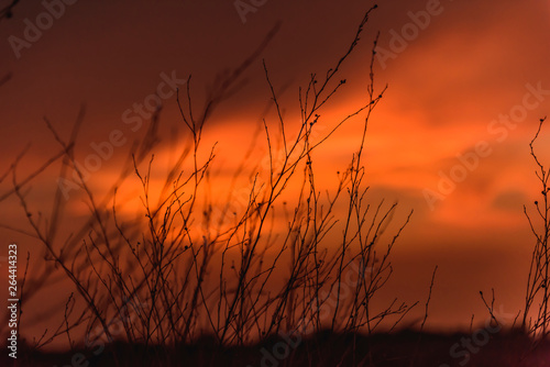 Beautiful blazing sunset landscape at over the meadow and orange sky above it. Amazing summer